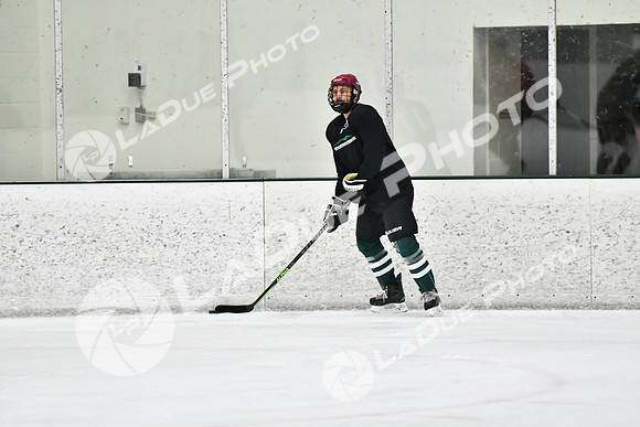 240228_FCHL_C1_Mammoth_PVHI060
