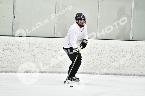 240228_FCHL_C1_Pando_Forge046
