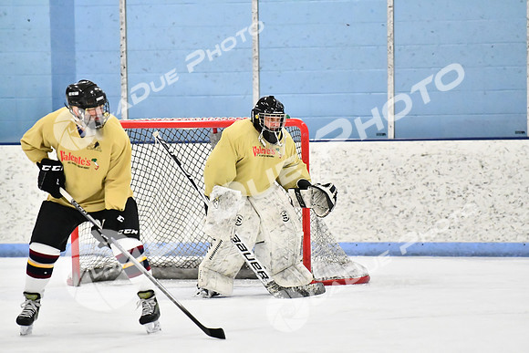 240228_FCHL_D_SticksStones_Valentes113