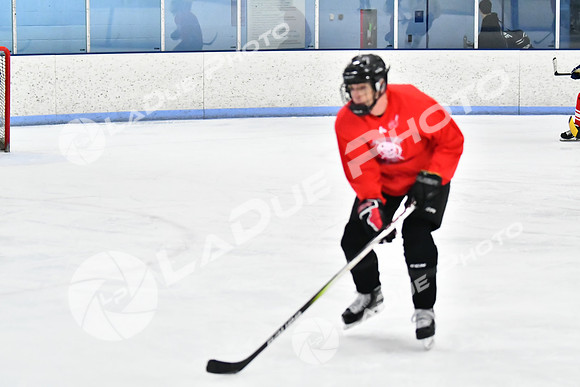 240228_FCHL_D_SticksStones_Valentes114