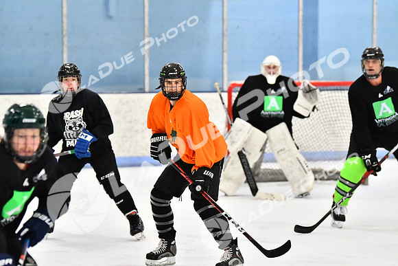 240228_FCHL_D_Antinora_FCHL094