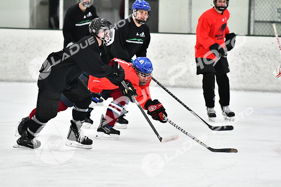 240228_FCHL_C1_Mammoth_PVHI068