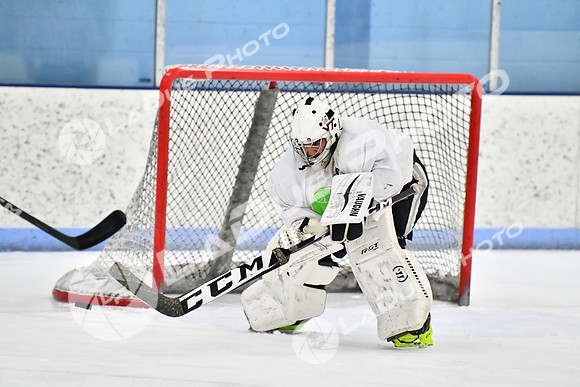 240229_FCHL_D_PondScum_Dominators080