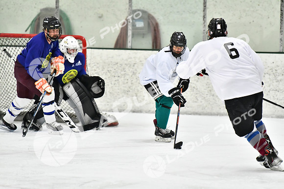 240228_FCHL_C1_Pando_Forge051