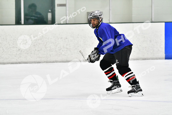 240228_FCHL_C1_Pando_Forge052
