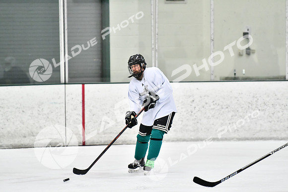 240228_FCHL_C1_Pando_Forge053