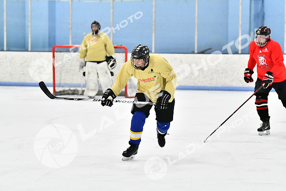 240228_FCHL_D_SticksStones_Valentes122