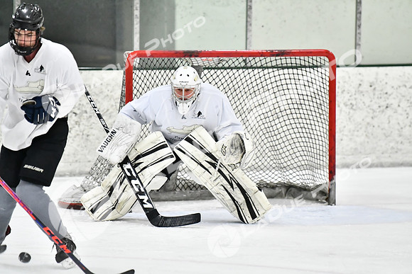 240228_FCHL_C1_Pando_Forge056