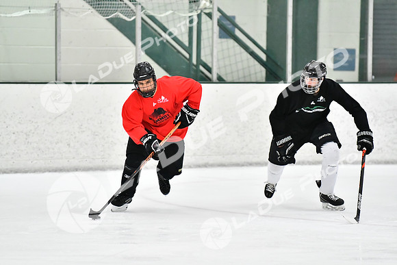 240228_FCHL_C1_Mammoth_PVHI074