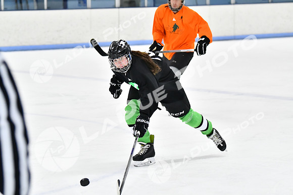240228_FCHL_D_Antinora_FCHL103