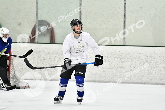 240228_FCHL_C1_Pando_Forge060