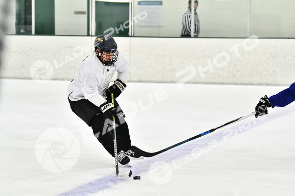 240228_FCHL_C1_Pando_Forge063