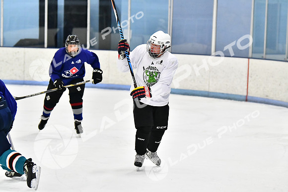 240229_FCHL_D_PondScum_Dominators094