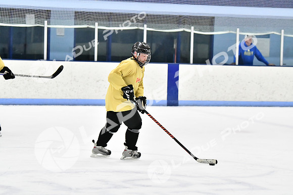 240228_FCHL_D_SticksStones_Valentes130