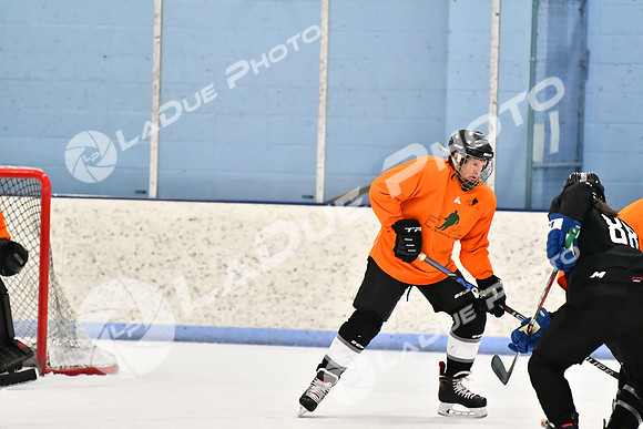 240228_FCHL_D_Antinora_FCHL111