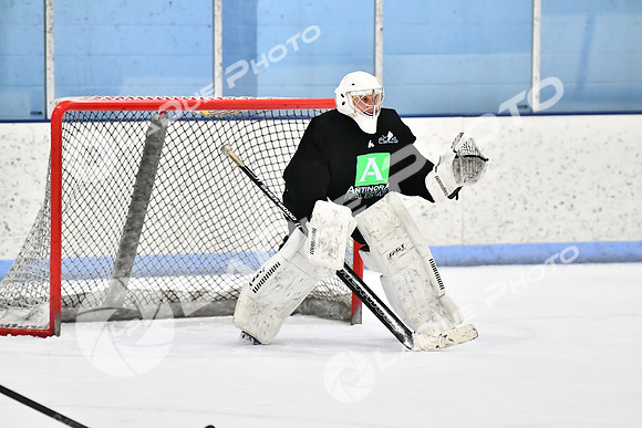 240228_FCHL_D_Antinora_FCHL113