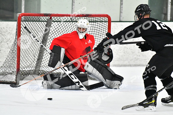 240228_FCHL_C1_Mammoth_PVHI084