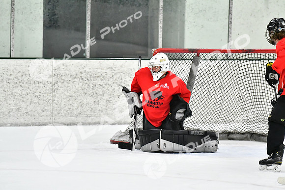 240228_FCHL_C1_Mammoth_PVHI087