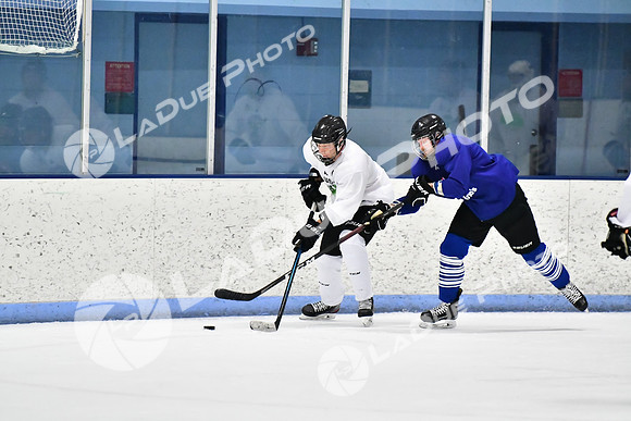 240229_FCHL_D_PondScum_Dominators100