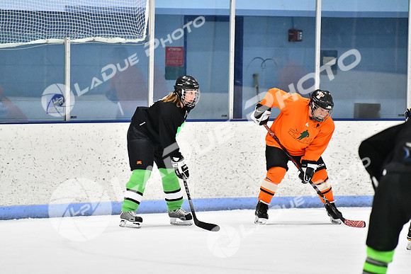 240228_FCHL_D_Antinora_FCHL118