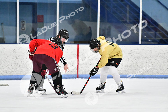 240228_FCHL_D_SticksStones_Valentes139