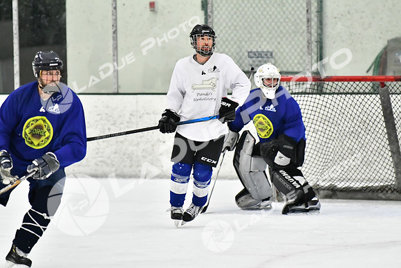 240228_FCHL_C1_Pando_Forge078