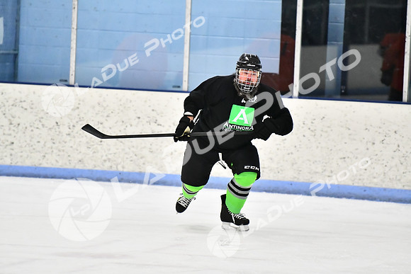 240228_FCHL_D_Antinora_FCHL126