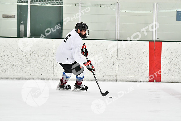 240228_FCHL_C1_Pando_Forge080