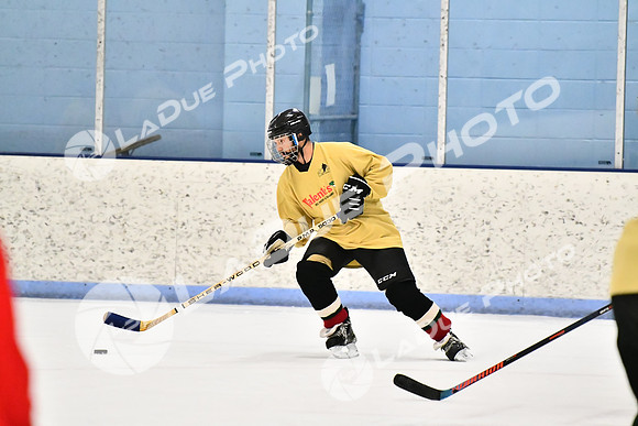 240228_FCHL_D_SticksStones_Valentes147