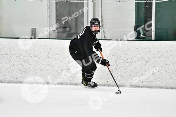 240228_FCHL_C1_Mammoth_PVHI100