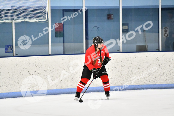 240228_FCHL_D_SticksStones_Valentes148