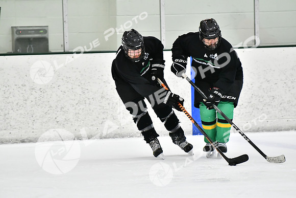 240228_FCHL_C1_Mammoth_PVHI101