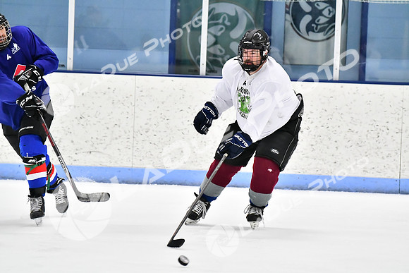 240229_FCHL_D_PondScum_Dominators113