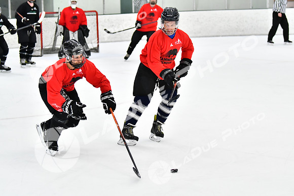240228_FCHL_C1_Mammoth_PVHI103