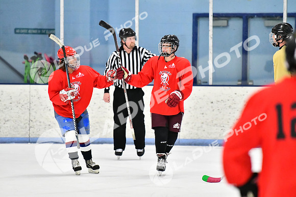 240228_FCHL_D_SticksStones_Valentes150