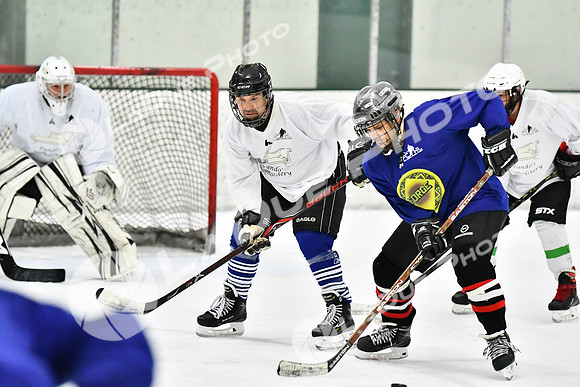 240228_FCHL_C1_Pando_Forge084