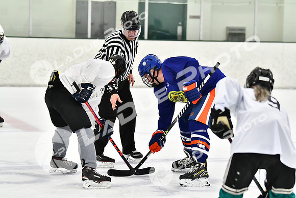 240228_FCHL_C1_Pando_Forge085