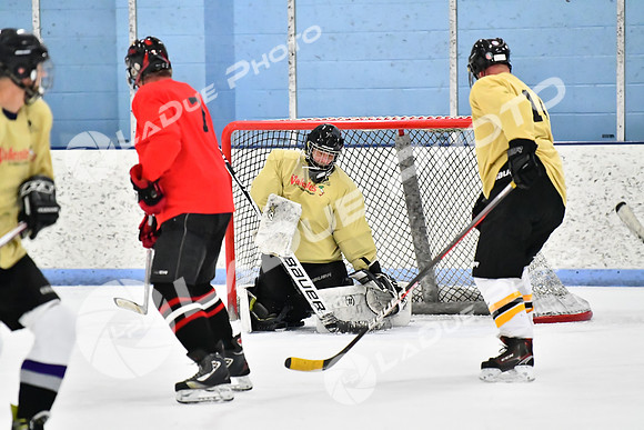 240228_FCHL_D_SticksStones_Valentes151