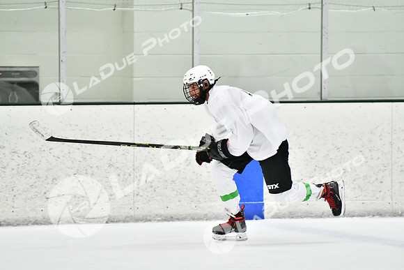 240228_FCHL_C1_Pando_Forge086