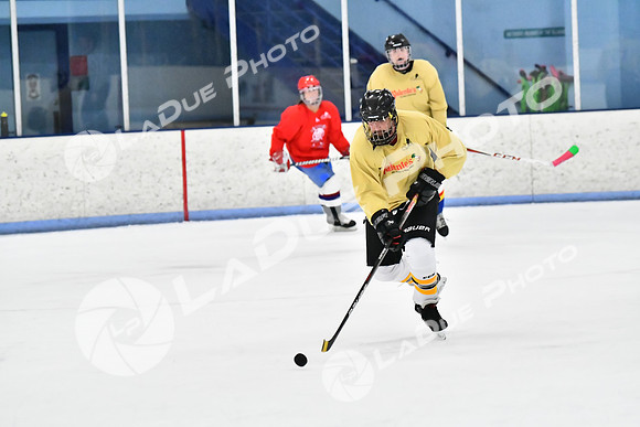 240228_FCHL_D_SticksStones_Valentes153