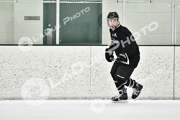 240228_FCHL_C1_Mammoth_PVHI106