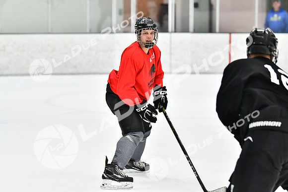 240228_FCHL_C1_Mammoth_PVHI107