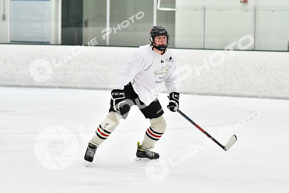 240228_FCHL_C1_Pando_Forge089