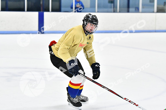 240228_FCHL_D_SticksStones_Valentes155