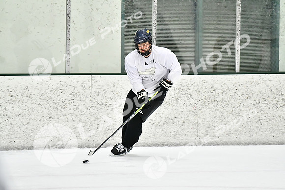 240228_FCHL_C1_Pando_Forge090