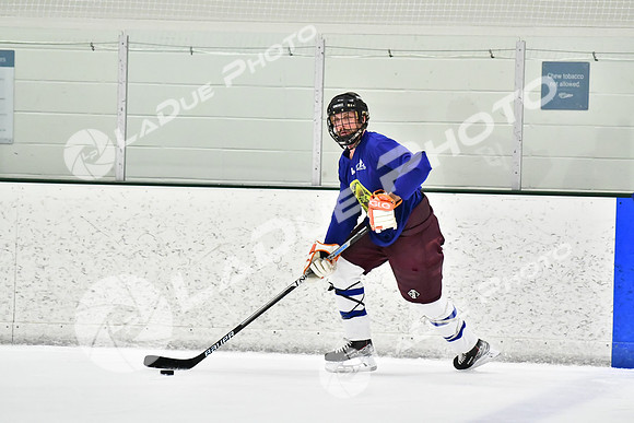 240228_FCHL_C1_Pando_Forge091