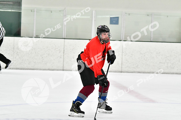 240228_FCHL_C1_Mammoth_PVHI109