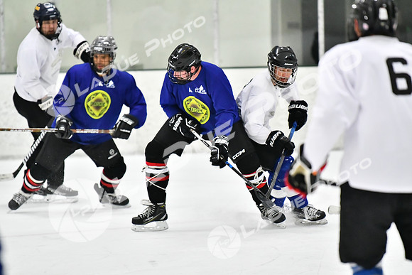 240228_FCHL_C1_Pando_Forge092