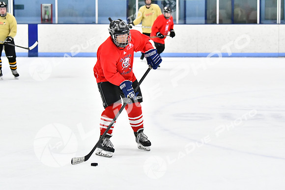 240228_FCHL_D_SticksStones_Valentes156