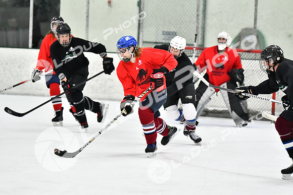 240228_FCHL_C1_Mammoth_PVHI112